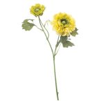 Ranunculus spray 47cm - Sárga