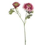 Ranunculus spray 47cm - Beauty