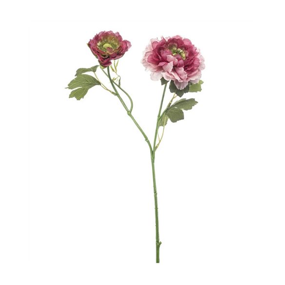 Ranunculus spray 47cm - Beauty