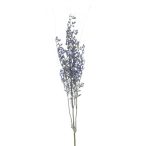 Sea lavender spray 70cm - Levendula