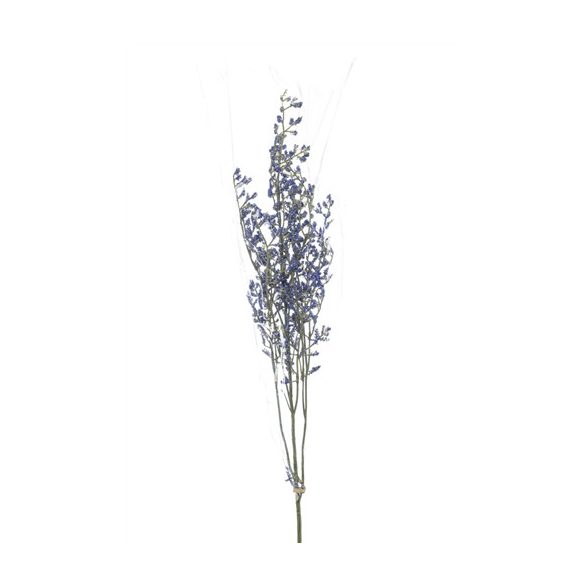 Sea lavender spray 70cm - Levendula