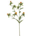 Dandelion spray 73cm - Narancs