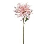 Dahlia twist spray 70cm - Világos rózsaszín