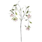 Dishgyi hanging spray x4 150cm - Barack