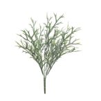 Staghorn fern bush UV 40cm