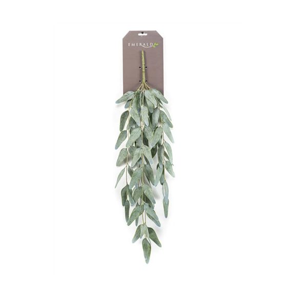 Eucalyptus hanging 75cm - Zöld