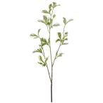 Eunoymus spray x3 75cm - Zöld/fehér