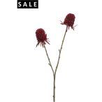 Carduus spray 70cm - Piros