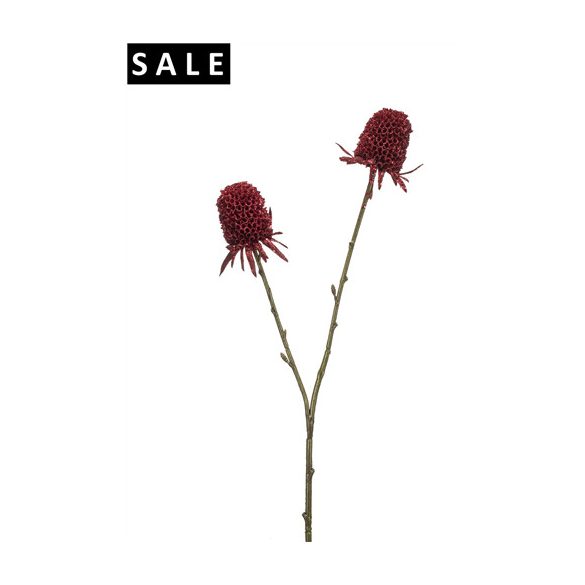 Carduus spray 70cm - Piros