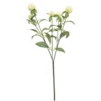 Gomphrena spray 64cm - Krém