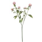 Gomphrena spray 64cm - Rózsaszín