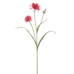 Cornflower spray x3 75cm - Rózsaszín