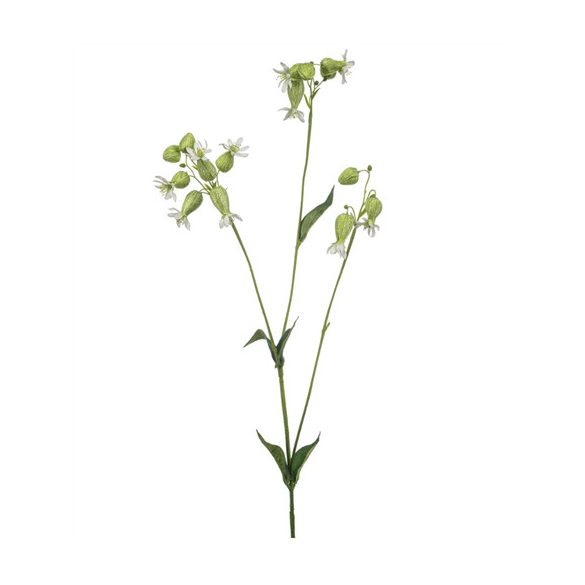 Silene spary 80cm - Fehér/zöld