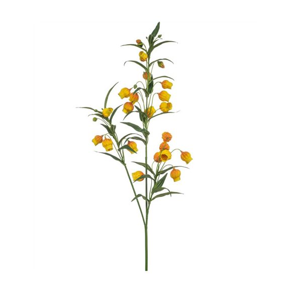 Sandersonia spray x3 110cm - Sárga