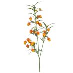 Sandersonia spray x3 110cm - Narancs