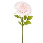 Rózsa óriás 115cm szárral - Rózsaszín