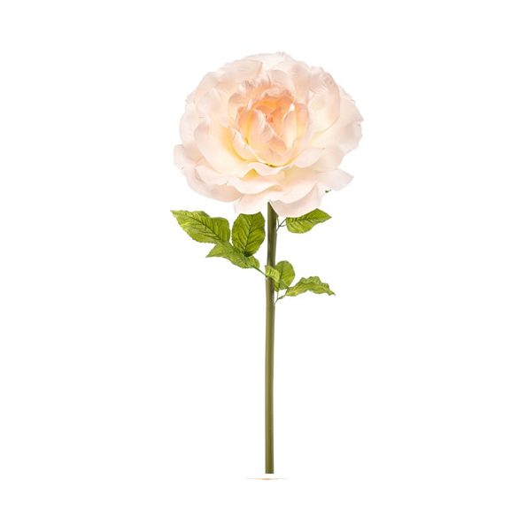 Rózsa óriás 115cm szárral - Barack