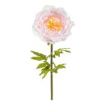 Peony giant 115cm szárral - Rózsaszín