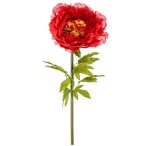 Peony giant 115cm szárral - Piros