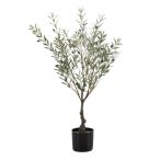 Oliva fa UV 90cm (műanyag cserépben)
