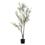 Oliva fa UV 140cm (műanyag cserépben)