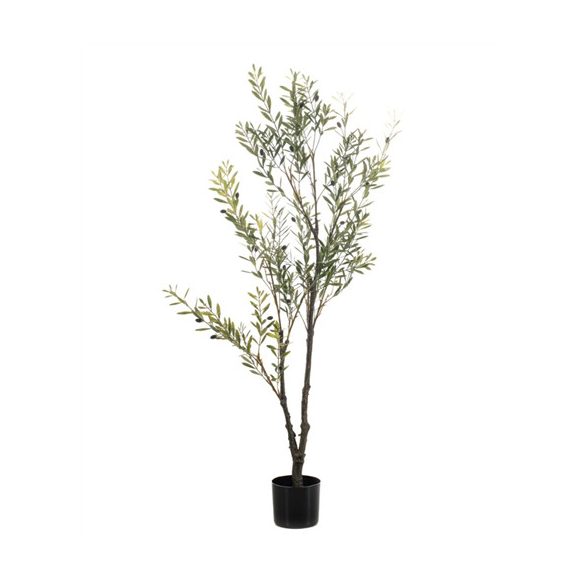 Oliva fa UV 140cm (műanyag cserépben)