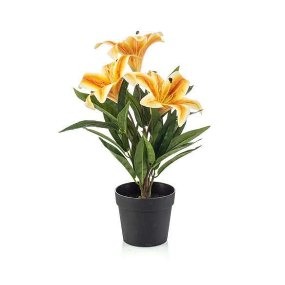 Lily x3 33cm - Sárga (műanyag cserépben)