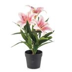 Lily x3 33cm - Rózsaszín (műanyag cserépben)