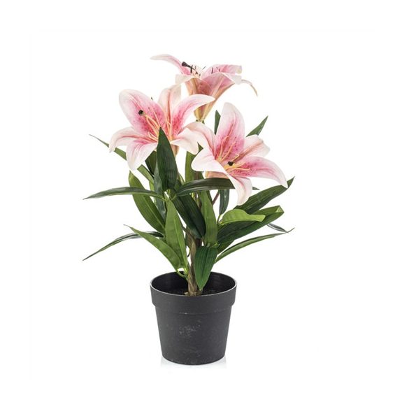 Lily x3 33cm - Rózsaszín (műanyag cserépben)