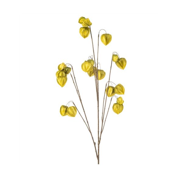 Physalis spray x10 110cm - Zöld