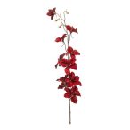 Delphinium velvet spray 85cm - Piros