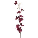 Delphinium velvet spray 85cm - Lila