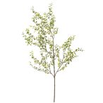 Muehlewbeckia spray 130cm - Zöld