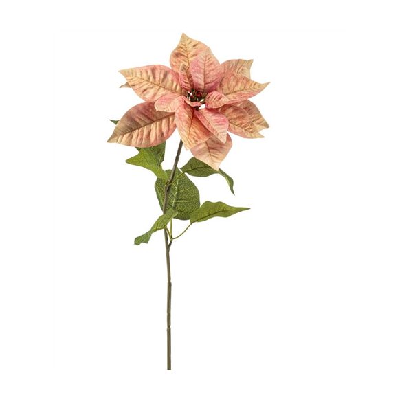 Poinsettia spray 65cm - Barack