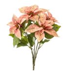 Poinsettia bush x5 42cm - Barack