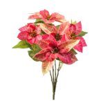 Poinsettia bush x5 42cm - Rózsaszín