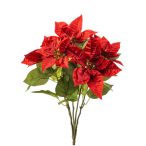 Poinsettia bush x5 42cm - Piros