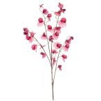 Lathyrus spray x4 110cm - Fuchsia