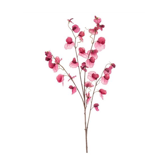 Lathyrus spray x4 110cm - Fuchsia