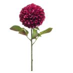 Dahlia pompon spray XL 77cm - Beauty