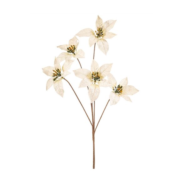 Poinsettia spray x5 80cm - Krém