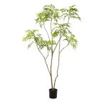 Mahonia forunei 210cm (műanyag serépben)