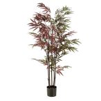 Bamboo x5 130cm - Zöld/bordó (műanyag cserépben)