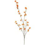 Euonymus spray 115cm - Narancs