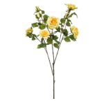 Rózsa chelsea branch x3 110cm - Sárga