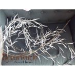 Fűzfaág leveles x9