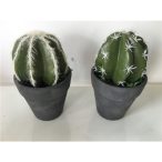 Élethű mű kaktusz 7x14 cm - 2 féle