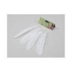 Toll 20cm - Fehér S/12