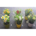 Tavaszi virágok színes kaspóban 20cm - 6 féle