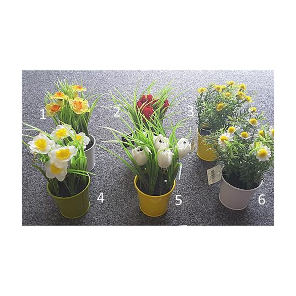 Tavaszi virágok színes kaspóban 20cm - 6 féle